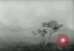 Standbild Kilauea-vulkans Kapoho Hawaii USA, 1960, aus Sekunde 43 historischem Filmmaterial Videoclip 65675039454