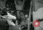 Image Préparation pour le carnaval de Viareggio Italie, 1960, de la seconde 7 séquences d'archives historiques vidéo 65675039455