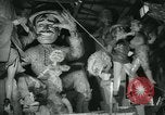 Image Préparation pour le carnaval de Viareggio Italie, 1960, de la seconde 25 séquences d'archives historiques vidéo 65675039455