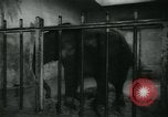 Image National Zoological Park Washington DC USA, 1960, de la seconde 18 séquences d'archives historiques vidéo 65675039457