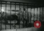 Image National Zoological Park Washington DC USA, 1960, de la seconde 24 séquences d'archives historiques vidéo 65675039457