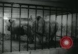Image National Zoological Park Washington DC USA, 1960, de la seconde 26 séquences d'archives historiques vidéo 65675039457