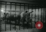 Image National Zoological Park Washington DC USA, 1960, de la seconde 27 séquences d'archives historiques vidéo 65675039457