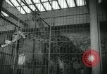 Image National Zoological Park Washington DC USA, 1960, de la seconde 33 séquences d'archives historiques vidéo 65675039457