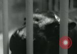 Image National Zoological Park Washington DC USA, 1960, de la seconde 43 séquences d'archives historiques vidéo 65675039457
