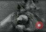 Image of President Gamal Abdel Nasser Cairo Egypt, 1960, second 13 stock footage video 65675039458