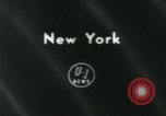 Image 84e Westminster Kennel Club Dog Show New York City USA, 1960, de la seconde 4 séquences d'archives historiques vidéo 65675039459