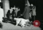Image 84e Westminster Kennel Club Dog Show New York City USA, 1960, de la seconde 18 séquences d'archives historiques vidéo 65675039459