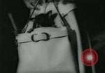 Image 84e Westminster Kennel Club Dog Show New York City USA, 1960, de la seconde 28 séquences d'archives historiques vidéo 65675039459
