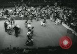 Image 84e Westminster Kennel Club Dog Show New York City USA, 1960, de la seconde 30 séquences d'archives historiques vidéo 65675039459