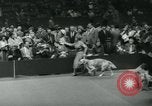 Image 84e Westminster Kennel Club Dog Show New York City USA, 1960, de la seconde 32 séquences d'archives historiques vidéo 65675039459