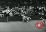 Image 84e Westminster Kennel Club Dog Show New York City USA, 1960, de la seconde 34 séquences d'archives historiques vidéo 65675039459