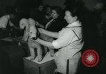 Image 84e Westminster Kennel Club Dog Show New York City USA, 1960, de la seconde 45 séquences d'archives historiques vidéo 65675039459