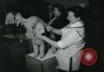 Image 84e Westminster Kennel Club Dog Show New York City USA, 1960, de la seconde 47 séquences d'archives historiques vidéo 65675039459