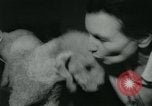 Image 84e Westminster Kennel Club Dog Show New York City USA, 1960, de la seconde 51 séquences d'archives historiques vidéo 65675039459