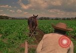 Standbild Landwirt Mexiko, 1975, aus Sekunde 4 historischem Filmmaterial Videoclip 65675039461