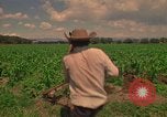 Standbild Landwirt Mexiko, 1975, aus Sekunde 5 historischem Filmmaterial Videoclip 65675039461