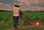 Standbild Landwirt Mexiko, 1975, aus Sekunde 6 historischem Filmmaterial Videoclip 65675039461