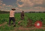 Standbild Landwirt Mexiko, 1975, aus Sekunde 7 historischem Filmmaterial Videoclip 65675039461