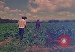 Standbild Landwirt Mexiko, 1975, aus Sekunde 8 historischem Filmmaterial Videoclip 65675039461