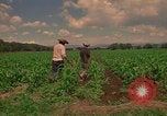 Standbild Landwirt Mexiko, 1975, aus Sekunde 9 historischem Filmmaterial Videoclip 65675039461