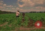 Standbild Landwirt Mexiko, 1975, aus Sekunde 10 historischem Filmmaterial Videoclip 65675039461