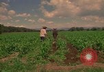 Standbild Landwirt Mexiko, 1975, aus Sekunde 11 historischem Filmmaterial Videoclip 65675039461