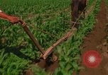Standbild Landwirt Mexiko, 1975, aus Sekunde 13 historischem Filmmaterial Videoclip 65675039461