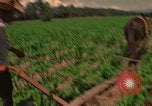 Standbild Landwirt Mexiko, 1975, aus Sekunde 16 historischem Filmmaterial Videoclip 65675039461