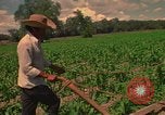 Standbild Landwirt Mexiko, 1975, aus Sekunde 17 historischem Filmmaterial Videoclip 65675039461