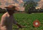 Standbild Landwirt Mexiko, 1975, aus Sekunde 19 historischem Filmmaterial Videoclip 65675039461
