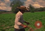 Standbild Landwirt Mexiko, 1975, aus Sekunde 20 historischem Filmmaterial Videoclip 65675039461
