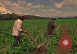 Standbild Landwirt Mexiko, 1975, aus Sekunde 22 historischem Filmmaterial Videoclip 65675039461