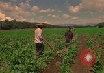 Standbild Landwirt Mexiko, 1975, aus Sekunde 24 historischem Filmmaterial Videoclip 65675039461