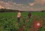Standbild Landwirt Mexiko, 1975, aus Sekunde 25 historischem Filmmaterial Videoclip 65675039461