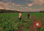 Standbild Landwirt Mexiko, 1975, aus Sekunde 26 historischem Filmmaterial Videoclip 65675039461