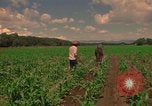 Standbild Landwirt Mexiko, 1975, aus Sekunde 27 historischem Filmmaterial Videoclip 65675039461
