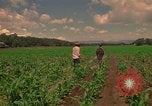 Standbild Landwirt Mexiko, 1975, aus Sekunde 28 historischem Filmmaterial Videoclip 65675039461