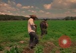 Standbild Landwirt Mexiko, 1975, aus Sekunde 29 historischem Filmmaterial Videoclip 65675039461