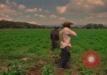 Standbild Landwirt Mexiko, 1975, aus Sekunde 30 historischem Filmmaterial Videoclip 65675039461