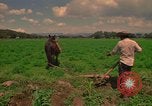 Standbild Landwirt Mexiko, 1975, aus Sekunde 32 historischem Filmmaterial Videoclip 65675039461