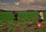 Standbild Landwirt Mexiko, 1975, aus Sekunde 33 historischem Filmmaterial Videoclip 65675039461