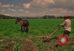Standbild Landwirt Mexiko, 1975, aus Sekunde 34 historischem Filmmaterial Videoclip 65675039461