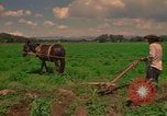 Standbild Landwirt Mexiko, 1975, aus Sekunde 35 historischem Filmmaterial Videoclip 65675039461
