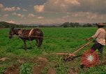 Standbild Landwirt Mexiko, 1975, aus Sekunde 36 historischem Filmmaterial Videoclip 65675039461