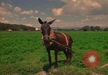 Standbild Landwirt Mexiko, 1975, aus Sekunde 37 historischem Filmmaterial Videoclip 65675039461