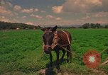 Standbild Landwirt Mexiko, 1975, aus Sekunde 38 historischem Filmmaterial Videoclip 65675039461