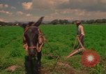 Standbild Landwirt Mexiko, 1975, aus Sekunde 40 historischem Filmmaterial Videoclip 65675039461