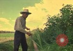 Standbild Landwirt Mexiko, 1975, aus Sekunde 44 historischem Filmmaterial Videoclip 65675039461