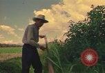 Standbild Landwirt Mexiko, 1975, aus Sekunde 45 historischem Filmmaterial Videoclip 65675039461